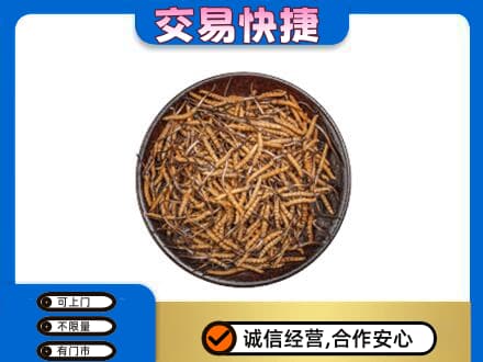 长沙回收散虫草